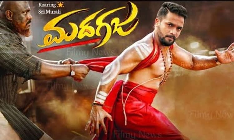 ಘೀಳಿಡಲು ರೆಡಿಯಾದ ಮದಗಜ; 900ಕ್ಕೂ ಹೆಚ್ಚು ಸ್ಕ್ರೀನ್‌ಗಳಲ್ಲಿ ಬಿಡುಗಡೆ