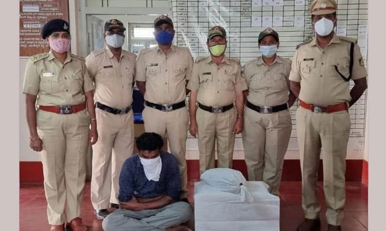 ಅರ್ಧ ಕೆ.ಜಿ. ಗಾಂಜಾ ವಶ ಆರೋಪಿ ಬಂಧನ