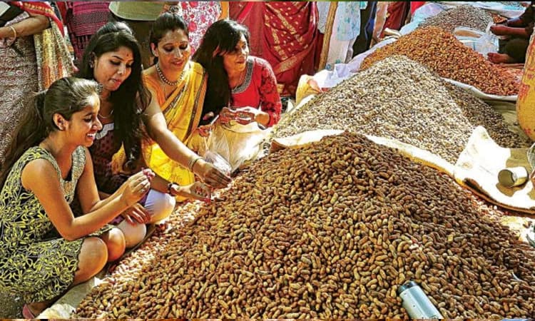 ಗರಿಬಿಚ್ಚಿಕೊಂಡ ಹಳ್ಳಿ ಸೊಗಡು