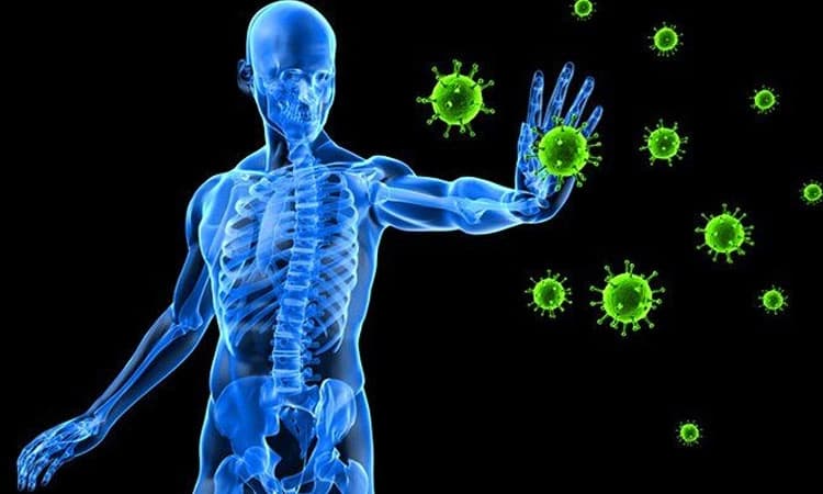 ಮನೆಮದ್ದುಗಳನ್ನು ಬಳಸಿ ರೋಗ ನಿರೋಧಕ ಶಕ್ತಿ ಹೆಚ್ಚಿಸಿಕೊಳ್ಳಿ…