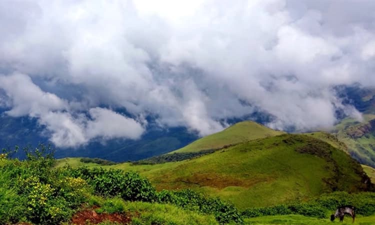 ಹೆಮ್ಮೆಯ ಮಲೆನಾಡು… ಬದುಕೆಂಬುದು ನೆನಪಿನ ದೋಣಿ ಇದ್ದ ಹಾಗೆ…