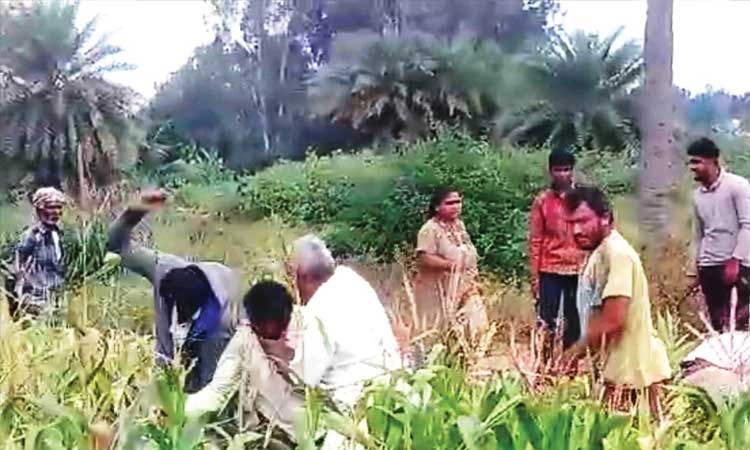 ಕುಟುಂಬಗಳ ನಡುವೆ ಮಾರಾಮಾರಿ
