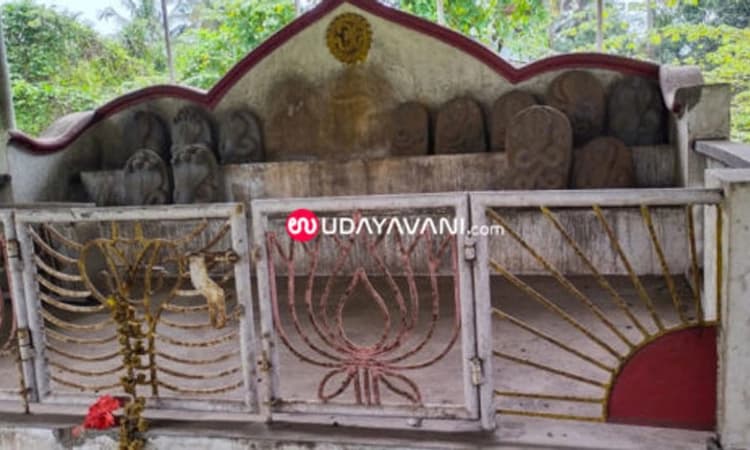 ನಾಗಬನ ಭಗ್ನಗೊಳಿಸಿದವರ ಸುಳಿವು ಸಿಕ್ಕಿದೆ: ಶಾಸಕ ಡಾ. ಭರತ್ ಶೆಟ್ಟಿ