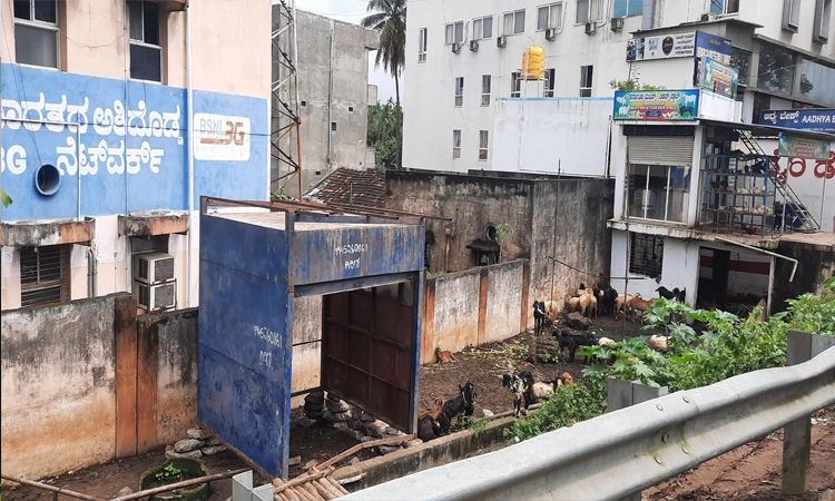 ರಾತ್ರೋರಾತ್ರಿ ಅಕ್ರಮ ಶೆಡ್‌ ನಿರ್ಮಾಣ: ಆಕ್ರೋಶ