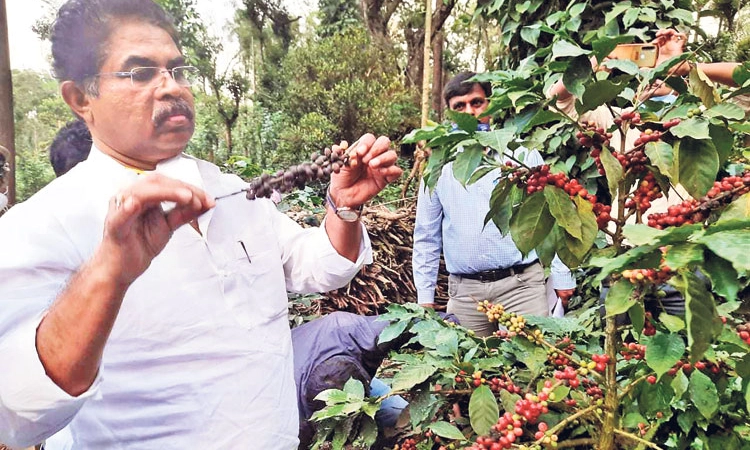 15 ದಿನಗಳಲ್ಲಿ ಪರಿಹಾರ: ಸಚಿವ ಆರ್‌.ಅಶೋಕ್‌