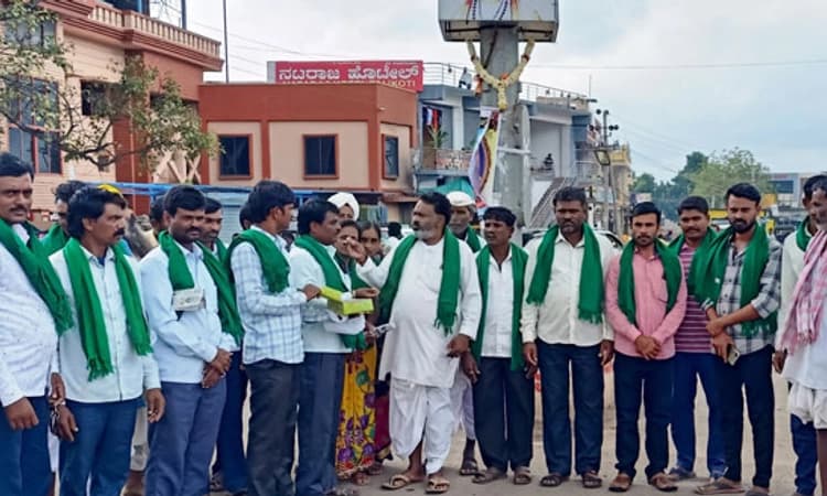 ತಾಳಿಕೋಟೆ: ಅನ್ನದಾತರ ಸಂಭ್ರಮ