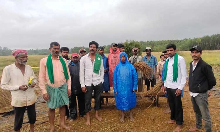 ಜೋಳದ ಬೆಳೆ ನಷ್ಟ: ಪರಿಹಾರಕ್ಕೆ  ಒತ್ತಾಯ