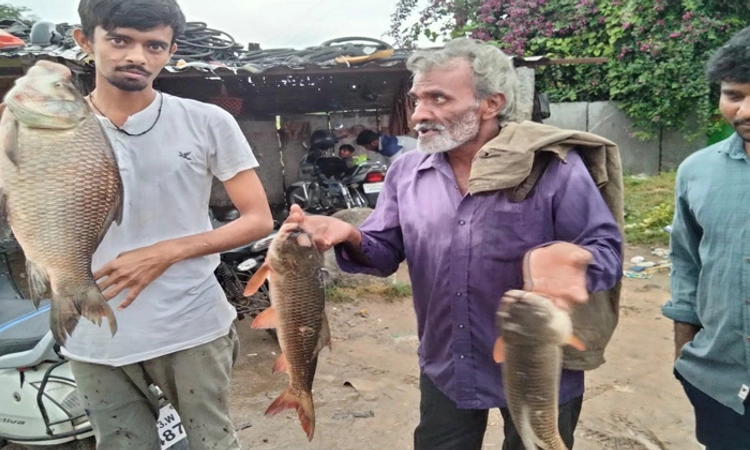 ನರಸಾಪುರ ದೊಡ್ಡ ಕೆರೆ ನೀರಲ್ಲಿ ಮೀನು ಹಿಡಿಯಲು ಮುಗಿಬಿದ್ದ ಜನ