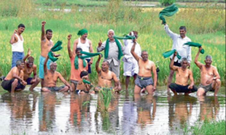 ಭತ್ತದ ಗದ್ದೆಯಲ್ಲಿ ಇನ್ನೂ ಕಡಿಮೆಯಾಗಿಲ್ಲ ನೀರು