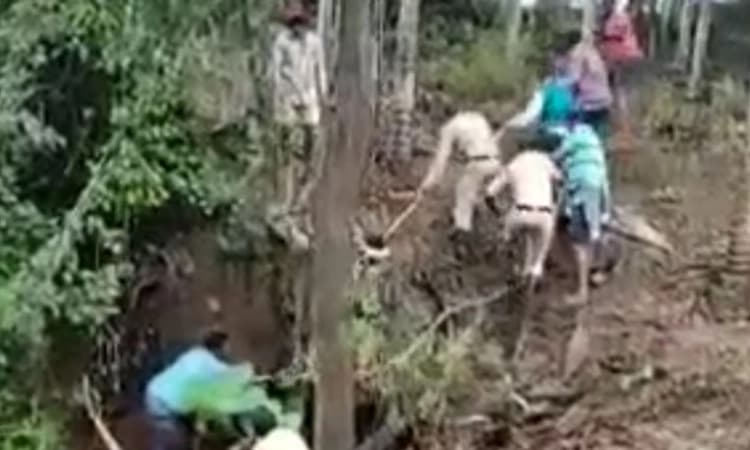 ತರೀಕೆರೆ: ಹಳ್ಳದಲ್ಲಿ ಕೊಚ್ಚಿ ಹೋದ ಸ್ಕೂಟರ್ ಸವಾರ