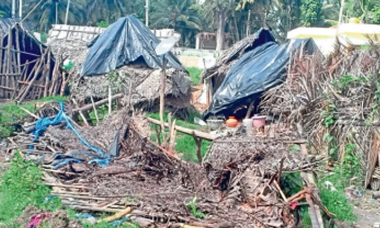 ನಿತ್ಯ ನರಕದಲ್ಲಿ ಇರುಳಿಗರ ಬದುಕು  