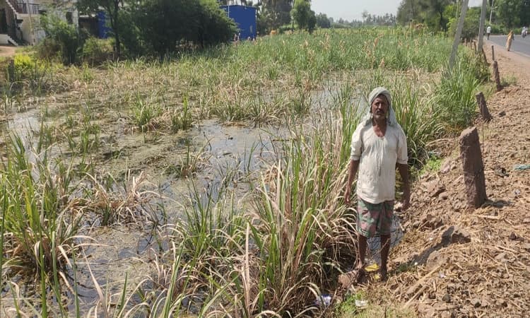 ರೈತನ ಹೊಲಕ್ಕೆ ನುಗ್ಗಿದ ಚರಂಡಿ ನೀರು