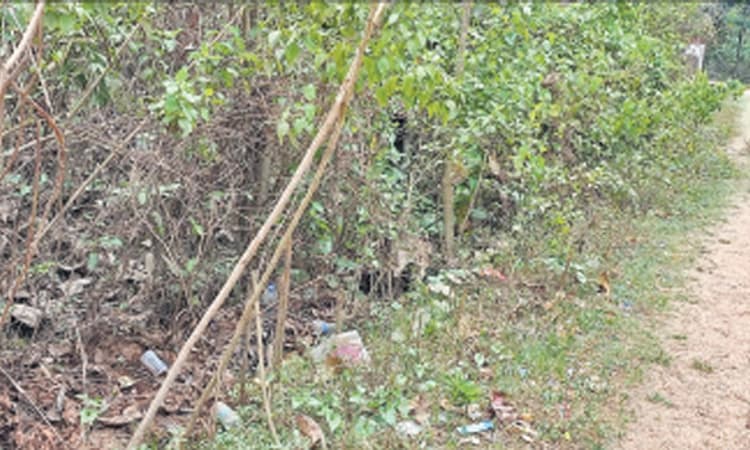 ಶೀಘ್ರ ತೆರವಾಗಬೇಕಿದೆ ಹೂಳು, ಪೊದೆ