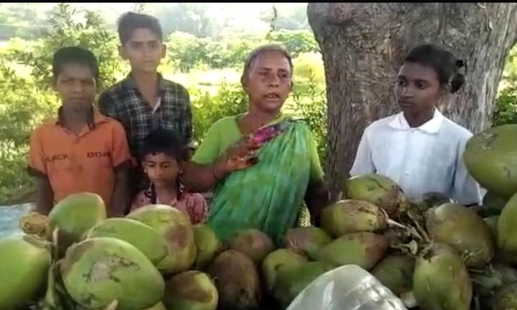 ಎಳೆನೀರು ಮಾರುತ್ತಿದ್ದ ಮಹಿಳೆಯ ಮಾಂಗಲ್ಯ ಸರ ದೋಚಿ ಪರಾರಿ