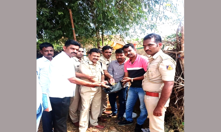 ಜಮೀನಿನಲ್ಲಿ ಸಂಗ್ರಹಿಸಿದ್ದ ಗಾಂಜಾ ವಶ