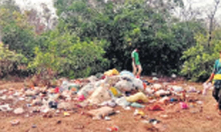 ಮೇವಿನ ಜಾಗದಲ್ಲಿ ತ್ಯಾಜ್ಯ