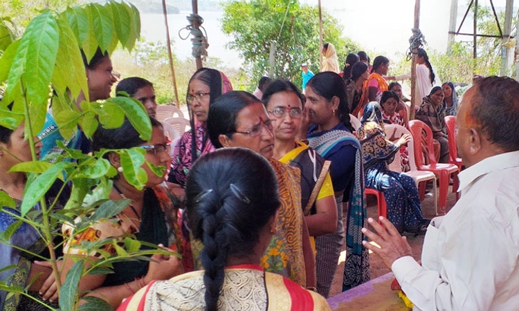 ಅರಣ್ಯ ವೃದ್ದಿಗೆ 25 ಲಕ್ಷ ಸಸಿ ಉತ್ಪಾದನೆ