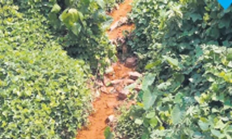 ಮಳೆ ಬಂದರೆ ರಸ್ತೆ ಹೊಳೆಯಂತಾಗುವ ಭೀತಿ!