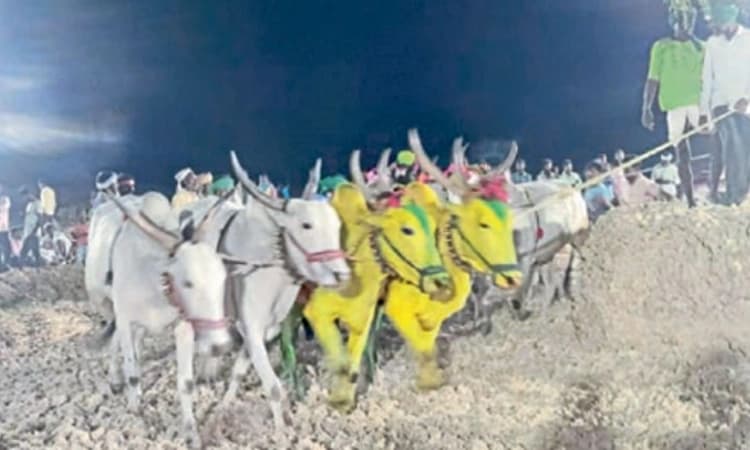 ಮುತ್ತಿನ ಕೂರಿಗೆ ಹದ ಮಾಡೋ ನನ ತಮ್ಮ!