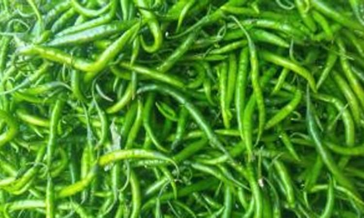 ಕೆರೂರ: ಹಸಿ ಮೆಣಸಿನಕಾಯಿ ದರ ದುಪ್ಪಟ್ಟು; ಪ್ರತಿ ಕೆಜಿಗೆ 240 ರೂ. ದರ