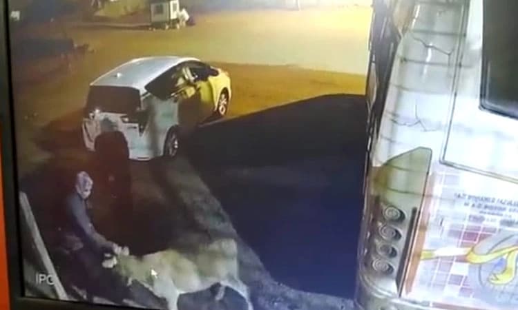 ಕುಕ್ಕೆ: ಕಾರಿನಲ್ಲಿ ಬಂದ ತಂಡದಿಂದ ಗೋವು ಕಳ್ಳತನಕ್ಕೆ ಯತ್ನ