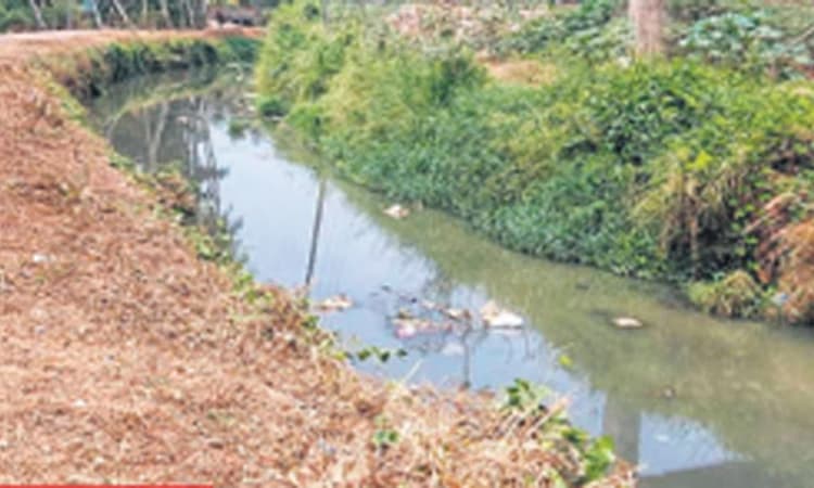 ಮಳೆ ನೀರು ಹರಿಯುವ ರಾಜಕಾಲುವೆಯಲ್ಲಿ ಚರಂಡಿ ನೀರು !