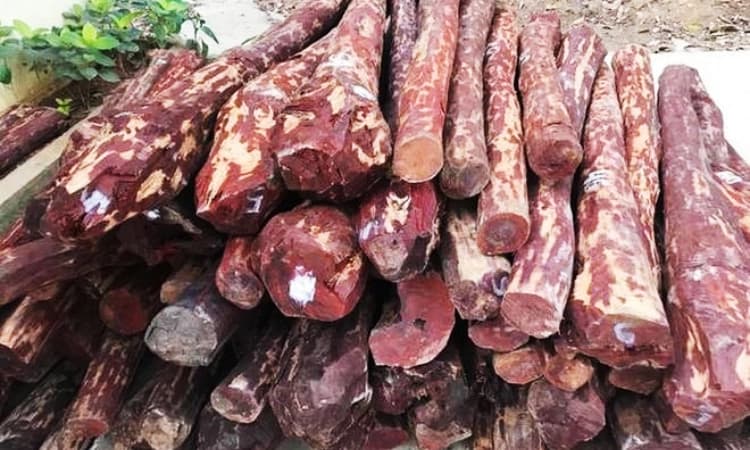 ಪೊಲೀಸರಿಂದಲೇ ರಕ್ತ ಚಂದನ ಮಾರಾಟ? ಅಧಿಕಾರ ದುರ್ಬಳಕೆ ಮಾಡಿಕೊಂಡರೆ ಅಧಿಕಾರಿಗಳು