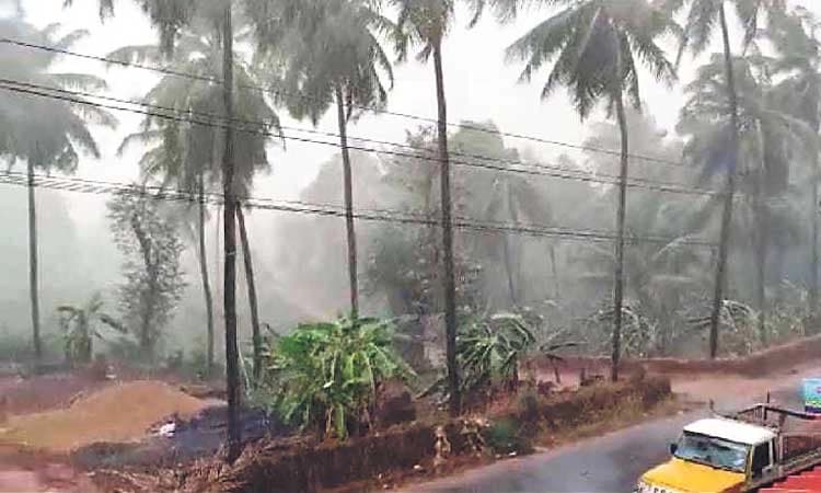 ಕರಾವಳಿಯಲ್ಲಿ ಮಳೆ, ಕೆಲವೆಡೆ ಹಾನಿ