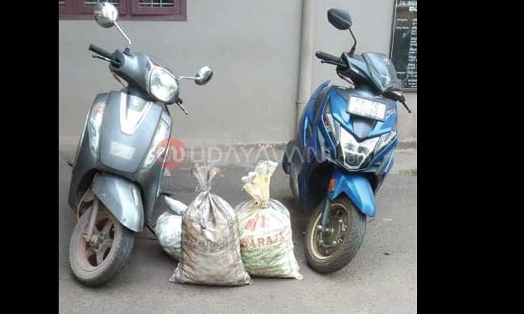 ವಿಟ್ಲ: ಅಡಿಕೆ ಕಳ್ಳತನ ಪ್ರಕರಣ; ನಾಲ್ವರು ಅಪ್ರಾಪ್ತ ಬಾಲಕರು ಪೊಲೀಸರ ವಶಕ್ಕೆ