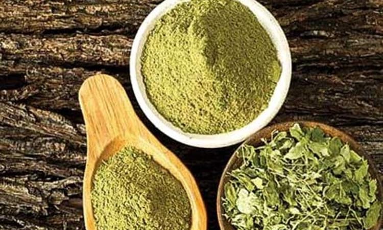 ನುಗ್ಗೆ ಆರೋಗ್ಯಕ್ಕೆ ಮಾತ್ರವಲ್ಲ ಸೌಂದರ್ಯಕ್ಕೂ ಉತ್ತಮ&#8230;