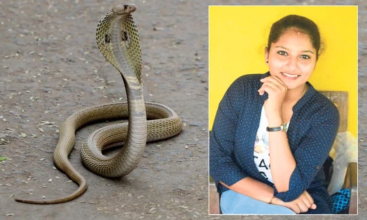 ಕೆಯ್ಯೂರು: ಹಾವು ಕಡಿದ ತಾಯಿಯನ್ನು ರಕ್ಷಿಸಿದ ಪುತ್ರಿ!