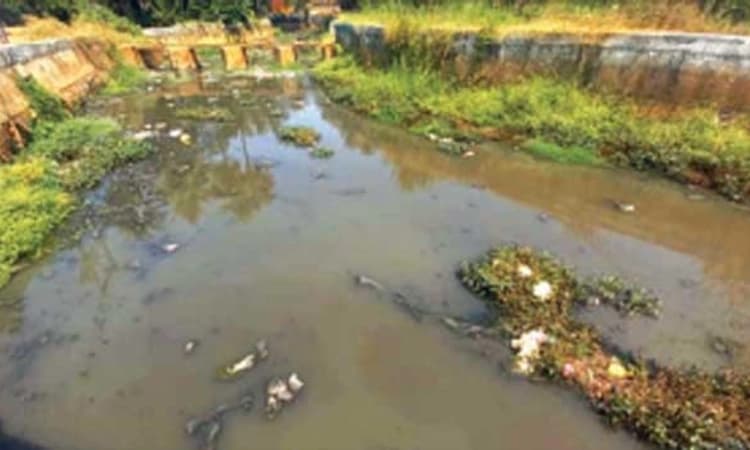ಉಡುಪಿಗೆ ಒಳಚರಂಡಿ ವ್ಯವಸ್ಥೆ ಬೇಕೇಬೇಕು; ಇಂದ್ರಾಣಿ ಶುದ್ಧವಾಗಲೇಬೇಕು!