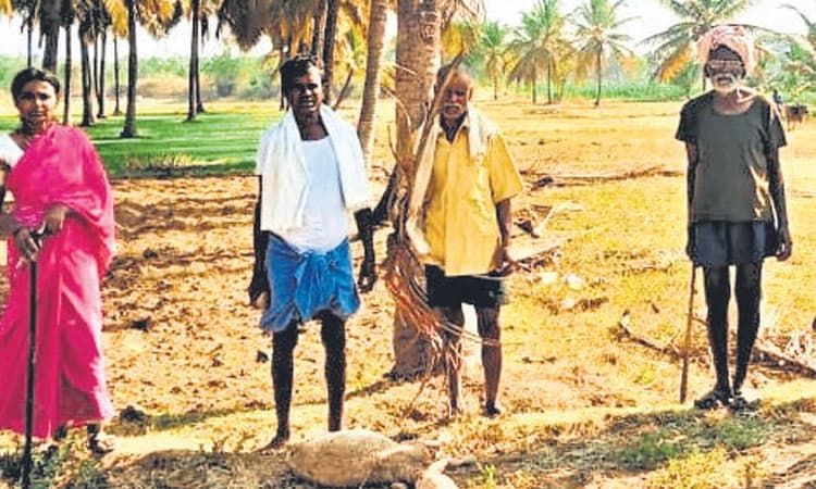 ರೈತರಿಗೆ ಬೆಳಗ್ಗೆ ನಾಯಿ, ರಾತ್ರಿ ಚಿರತೆ ಕಾಟ