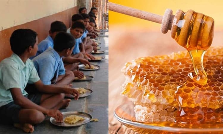 ಇನ್ನು ಬಿಸಿಯೂಟದಲ್ಲಿ ಜೇನಿನ “ಸಿಹಿ’: ರಾಜ್ಯಗಳಿಗೆ ಕೇಂದ್ರ ಸಲಹೆ