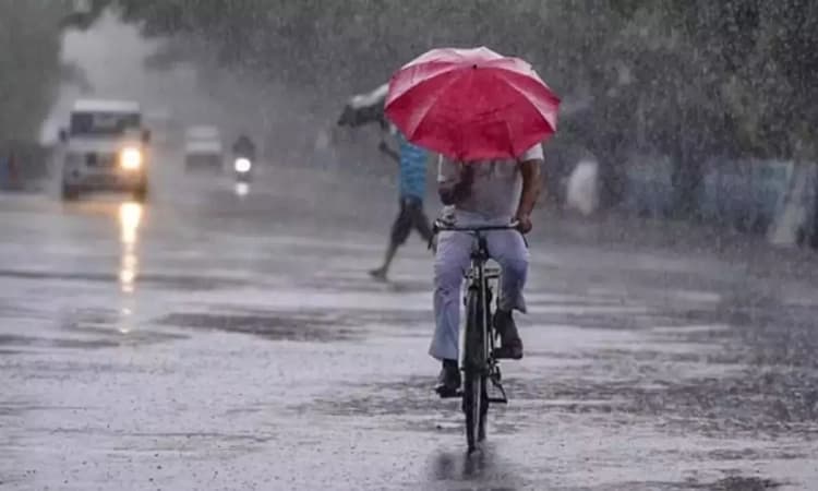 ಕರಾವಳಿಯಲ್ಲಿ ಸಾಧಾರಣ ಮಳೆ