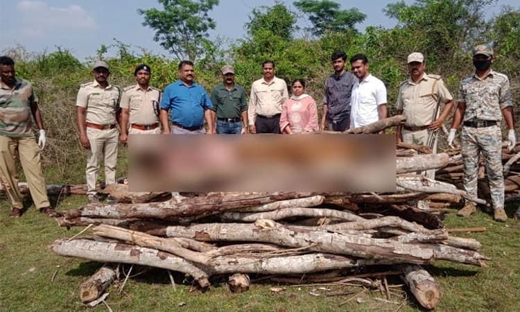 ನಾಗರಹೊಳೆ ಉದ್ಯಾನದಲ್ಲಿ ಗಂಡು ಹುಲಿ ಸಾವು