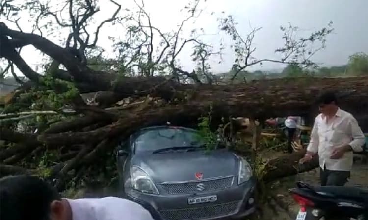 ಬೀದರ್: ಬಿರುಗಾಳಿ ಸಹಿತ ಮಳೆ, ಮರ ನೆಲಕ್ಕುರುಳಿ ವಾಹನಗಳು ಜಖಂ; ಮೂವರಿಗೆ ಗಾಯ