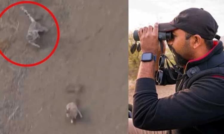 Watch Viral video: ಹಿಮ ಚಿರತೆಯ ರಣಬೇಟೆಯ ಕ್ಷಣ ವಿಡಿಯೋದಲ್ಲಿ ಸೆರೆಯಾಗಿದ್ದು ಹೀಗೆ…