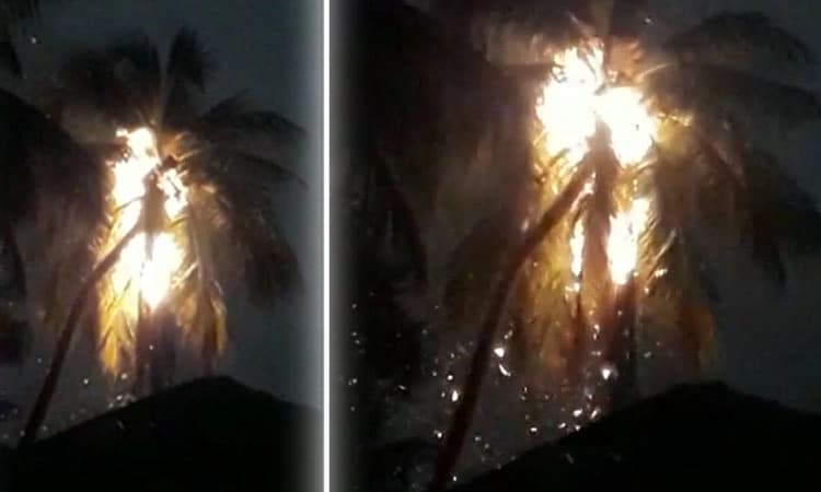 ಹುಣಸೂರು: ತಾಲೂಕಿನ ಹಲವೆಡೆ ಮಳೆ; ಸಿಡಿಲಿಗೆ ತೆಂಗಿನಮರ ಸುಟ್ಟು ಭಸ್ಮ