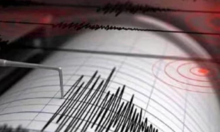 ನ್ಯೂಜಿಲೆಂಡ್ ನಲ್ಲಿ 7.1 ತೀವ್ರತೆಯ ಪ್ರಬಲ ಭೂಕಂಪ