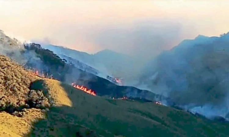 ಕಾಡ್ಗಿಚ್ಚು ಕ್ಷಿಪ್ರಗತಿ ಬೆಂಕಿ ನಂದಿಸಲು ವಾಯುಸೇನೆ ರೆಡಿ