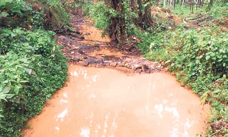ಬೇಸಗೆ ಬೇಗೆ ತಣಿಸಿದ ವರುಣ ಸಿಂಚನ: ಕೃಷಿಕರಿಗೆ ನಿಟ್ಟುಸಿರು, ಒಣ ಹಾಕಿದ ಅಡಿಕೆಗೆ ಹಾನಿ