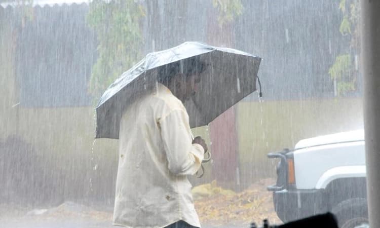 ಕೊಟ್ಟಿಗೆಹಾರ, ಬಣಕಲ್ ಸುತ್ತಮುತ್ತ ಧಾರಾಕಾರ ಮಳೆ… ರೈತರ ಮೊಗದಲ್ಲಿ ಮಂದಹಾಸ