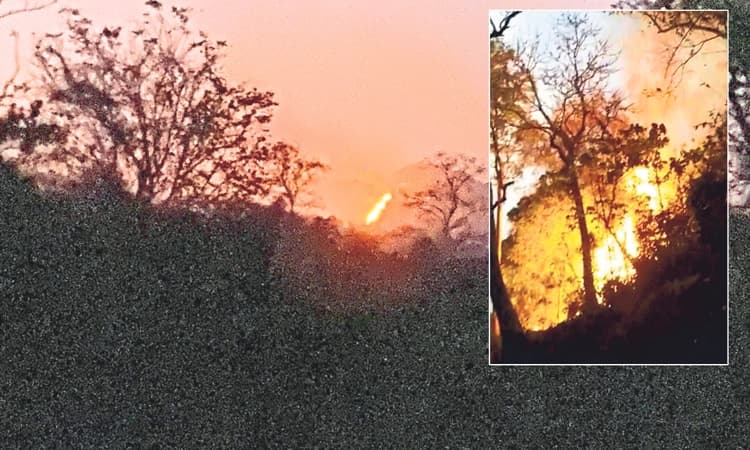 ಸುಳ್ಯ: ನಿಯಂತ್ರಣಕ್ಕೆ ಬಂಡ ಕಾಳ್ಗಿಚ್ಚು… ಅಧಿಕಾರಿಗಳಿಂದ ಸ್ಪಷ್ಟನೆ