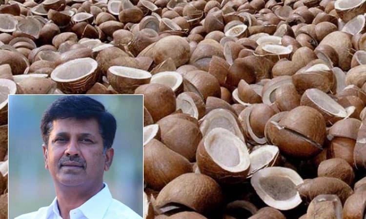 ಕೊಬ್ಬರಿಗೆ 20 ಸಾವಿರ ರೂ. ಬೆಂಬಲ ನೀಡಿ