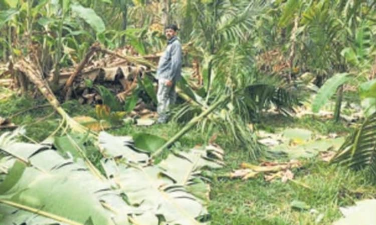 ವಿಶಾಂತ್ರಿಗೆ ಹೋದ ಆನೆಗಳು ಬರಲೇ ಇಲ್ಲ; ಸಾರ್ವಜನಿಕರ ಆಕ್ರೋಶ