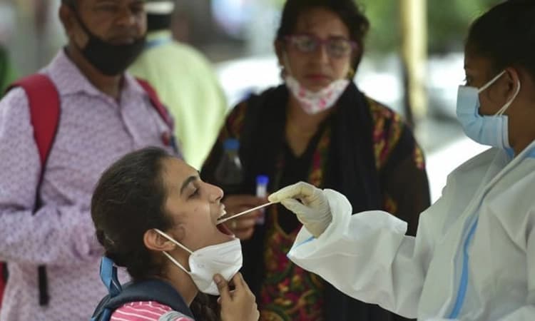 ಒಂದೇ ದಿನ 524 ಮಂದಿಗೆ ಹೊಸ ಕೋವಿಡ್–19 ಪ್ರಕರಣಗಳು ದೃಢ