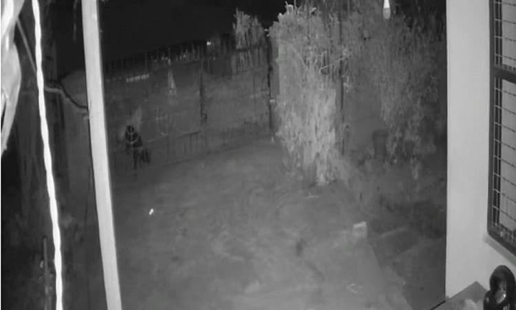 ಸುಬ್ರಹ್ಮಣ್ಯ: ಸಾಕು ನಾಯಿಯನ್ನು ಹೊತ್ತೊಯ್ದ ಚಿರತೆ