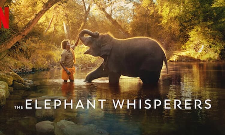 ಅಕಾಡೆಮಿ ಅವಾರ್ಡ್ಸ್ ನಲ್ಲಿ ಇತಿಹಾಸ ಬರೆದ ಭಾರತ; ‘ಎಲಿಫೆಂಟ್ ವಿಸ್ಪರರ್ಸ್’ ಗೆ ಆಸ್ಕರ್ ಗರಿ