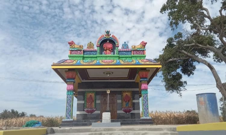 ಎರಡು ದಿನಗಳ ಹಿಂದೆ ಉದ್ಘಾಟನೆಗೊಂಡಿದ್ದ ದೇವಾಲಯದಲ್ಲಿ ಕಳ್ಳತನ